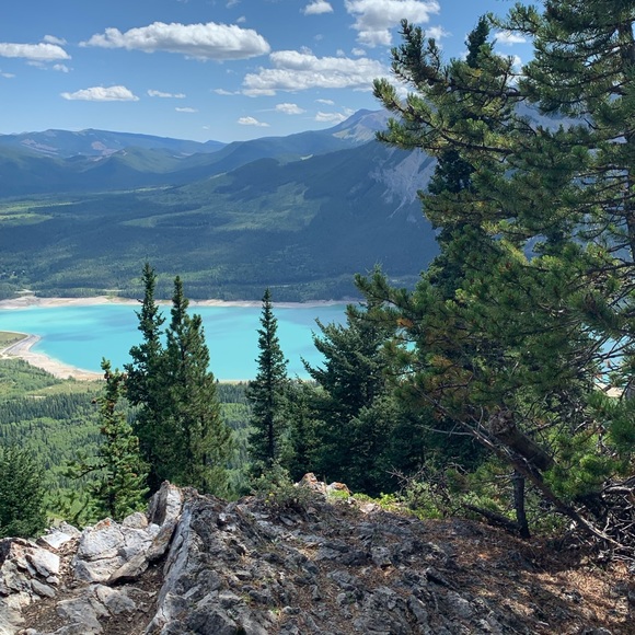 Meet your Posher, Shea - Picture 1 of 1